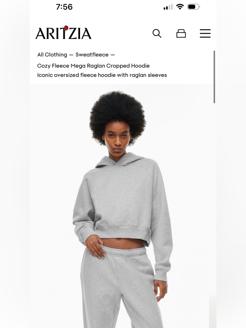 Aritzia Cozy Fleece Cropped Hoodie - Light Gray